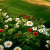 mina.shrestha293