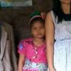 imel76833