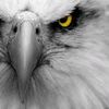 umair.bhatti772