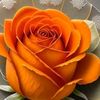 sumon.josna3