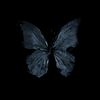 🦋𝐇𝐀𝐒𝐓𝐈