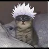 meokun1257