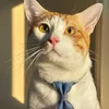 _bacxiu12