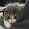 darinkaawq4