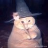 nyawwnnn0