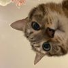 yumyumitsme