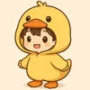 duck11.com