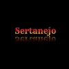 Sertanejo Uai🤠