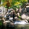 farhan08293