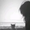wlys_zyyp