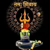 robin.singh819