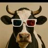sapi.lemuu