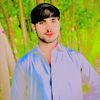 sherdil.s