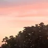 bartoleon44