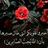 hattabi.kamel6