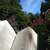 paula_bookss