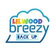 lilwoodbreezybackup