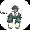 ans_anes