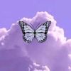 habibaabdo460