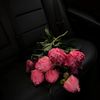 shahad92548