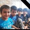 user288761933909