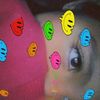whuis_yare