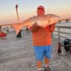 fishman4124