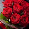 sumee55660