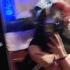 jordy_bug