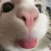 mary_250167