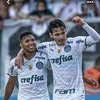 verdo711