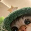 zeeee_ch10
