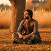 mramir452