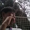 manuelx86