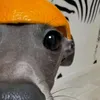 dauiabathuong