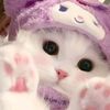 orlin_7481