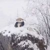 winteriscold21