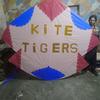 KITE TIGERS 🐅(official)