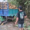 fauzibowo734