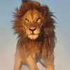 dipsingh715