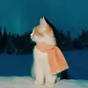 _yosr_0