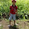 allian_nierva159