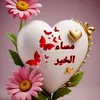 zahraaya964