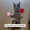 hinbpp0