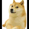 cyrusdefelix4
