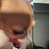 oliverwang57
