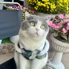 tom050424