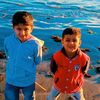 jibran9568