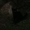 arrrkpn
