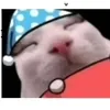 phatxgz